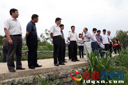 調研組在桃園草場調研石漠化地區(qū)種草養(yǎng)畜情況（陳亞林攝影）.JPG
