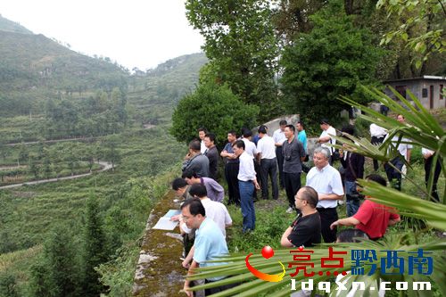 國家水利和生態(tài)調研組一行來到晴隆“24道拐”抗戰(zhàn)公路觀光（陳亞林攝影）.JPG