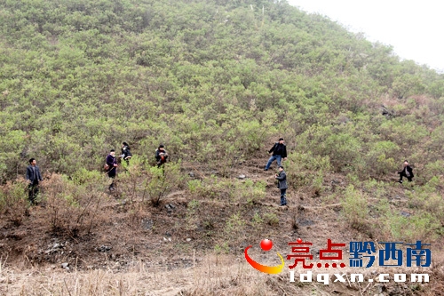 圖為工作人員對規(guī)模村國家重點公益林區(qū)防火線進行驗收（陳亞林攝影）.JPG