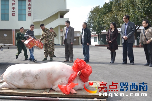 市電力公司工會把“年豬”送給武警部隊(duì).jpg