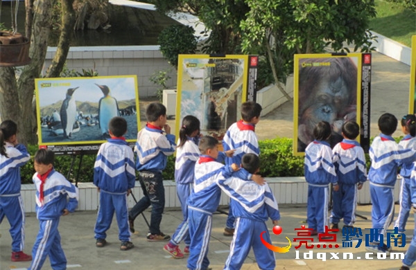 圖為豐都小學(xué)科普圖片展現(xiàn)場2.jpg