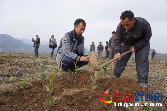 黃維(左一)在指導(dǎo)群眾栽種茶葉.JPG