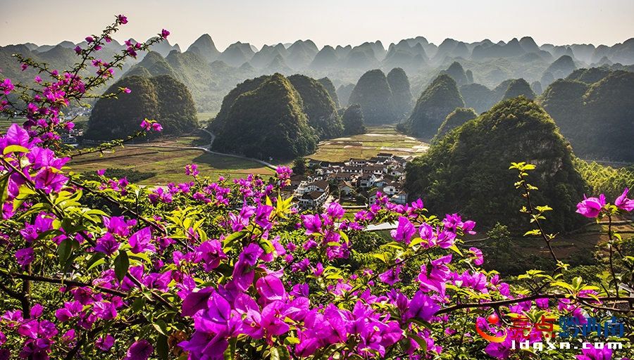 _DSC0074興義市新聞中心 張?chǎng)?攝.jpg