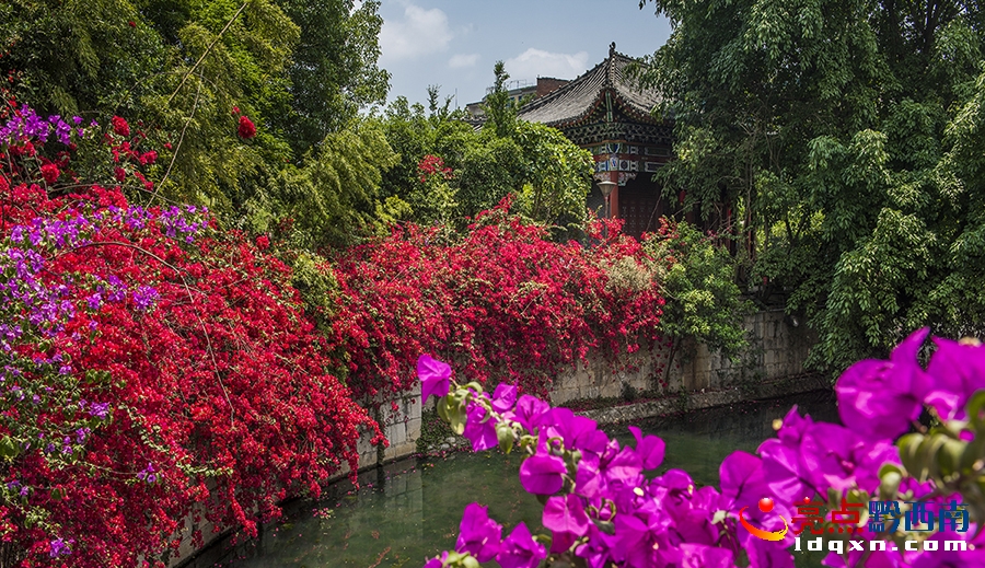 _DSC9343興義市新聞中心 張?chǎng)?攝.jpg
