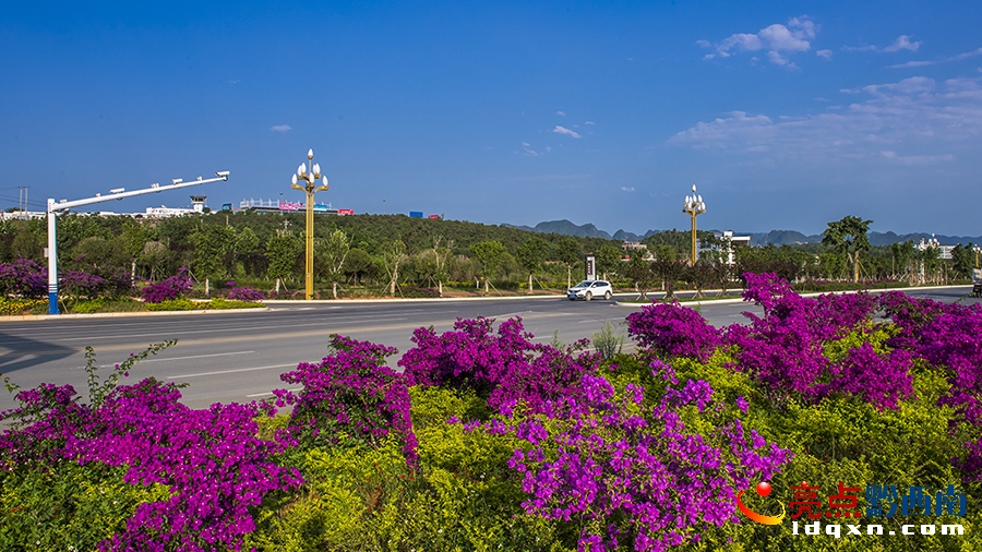 _DSC9970興義市新聞中心 張?chǎng)?攝.jpg