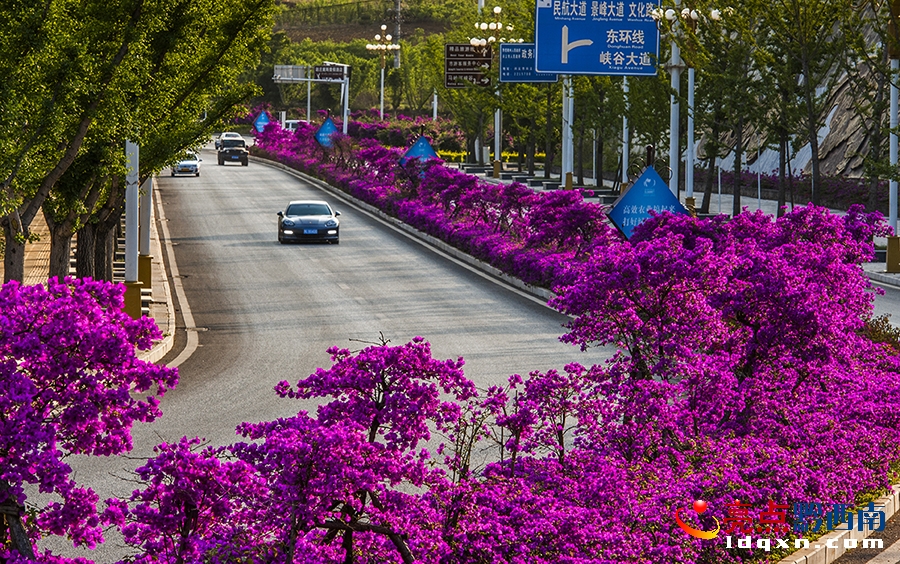 DSC_4284興義市新聞中心 張?chǎng)?攝.jpg
