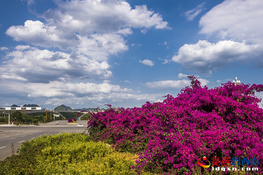 _DSC9493_1興義市新聞中心 張?chǎng)?攝.jpg