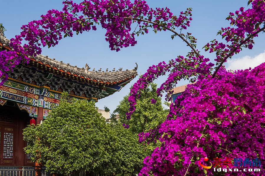 _DSC9106興義市新聞中心 張?chǎng)?攝.jpg