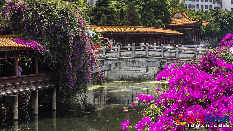 _DSC9345興義市新聞中心 張?chǎng)?攝.jpg