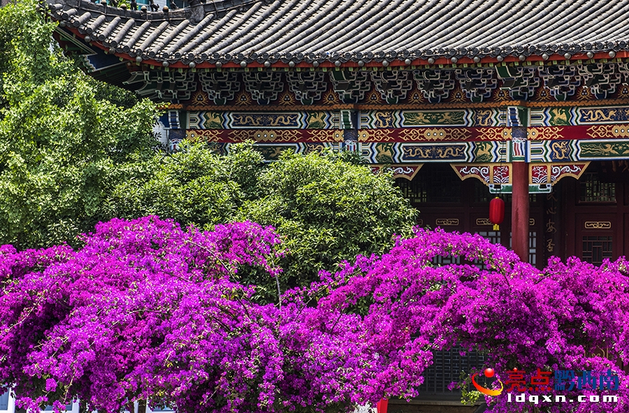 _DSC9341興義市新聞中心 張?chǎng)?攝.jpg