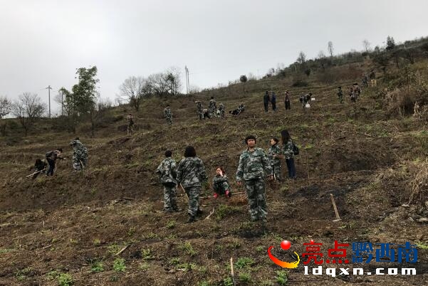 QQ截圖20170204092239.jpg