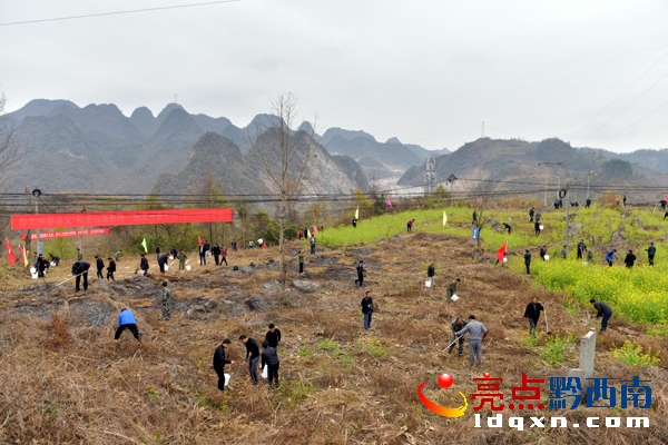 植樹現(xiàn)場(chǎng)4.jpg