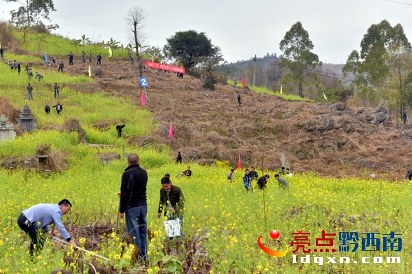 植樹現(xiàn)場(chǎng).jpg