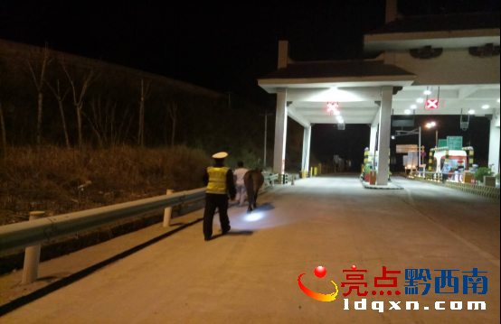 騾子“不聽使喚”闖入高速 黔西南高速交警及時(shí)處置820.png