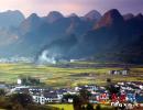 興義萬(wàn)峰林油菜花熱烈綻放 宛若一幅畫卷