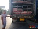 運(yùn)輸冷凍食品卻偷運(yùn)生豬 安龍查獲一輛違規(guī)廂式冷凍運(yùn)輸車